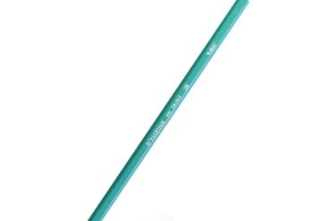 Lápiz Evolution Bic